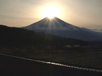 内野の田園地帯
